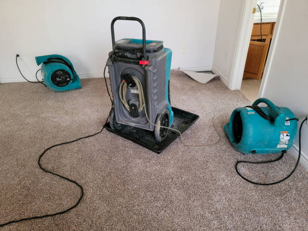Best Water damage mitigation services  in Minco, OK