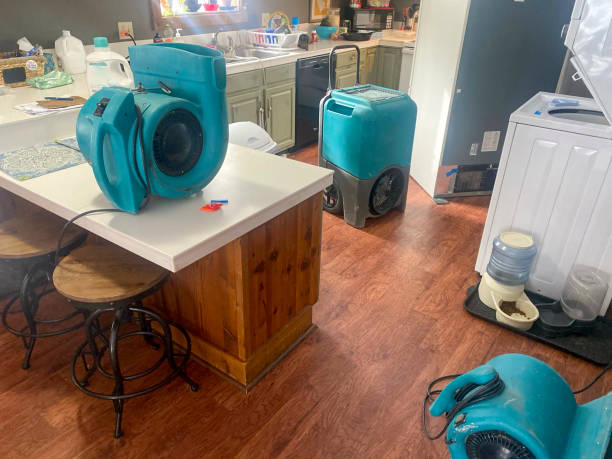 Best Water damage restoration near me  in Minco, OK