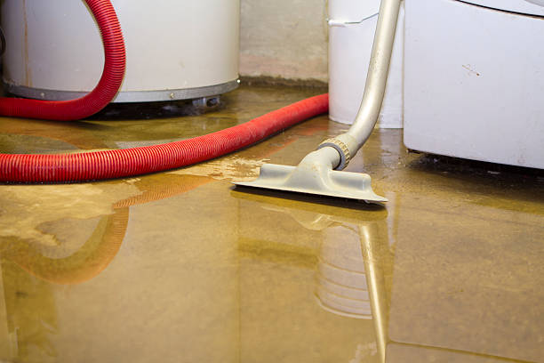 Best Flood damage cleanup  in Minco, OK