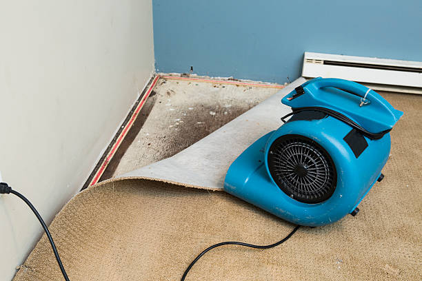 Best Water damage restoration near me  in Minco, OK